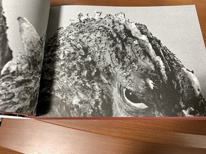 GODZILLA: History of Formative Arts 1954-2016: Kishikawa